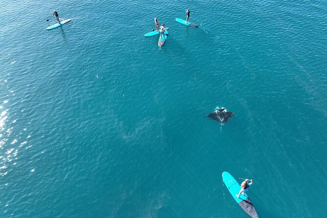 NEW- Premium Whitsunday Islands Sail SUP & Snorkel GROUP 4 guests - FAQ