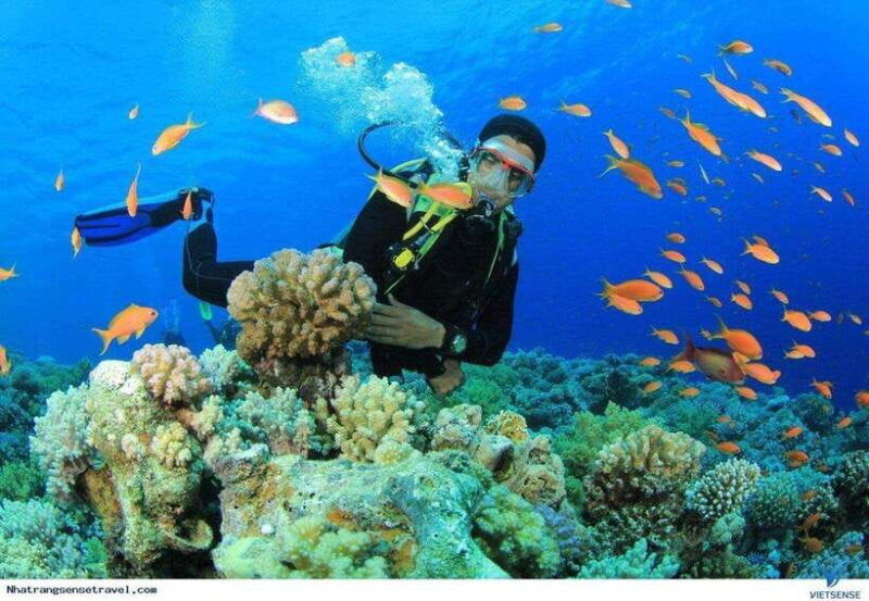nha-trang-3-island-vip-tour