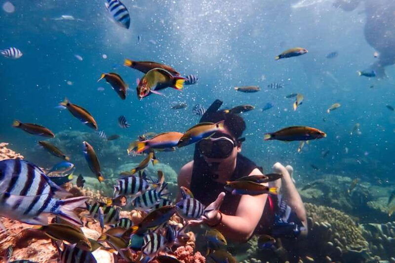 nha-trang-coral-reef-snorkeling-mud-bath-floating-bar