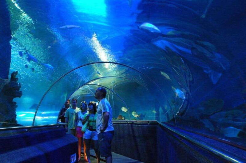 nha-trang-half-day-city-tour-daily-tour