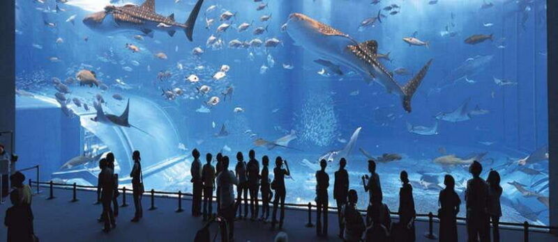 nha-trang-half-day-city-tour-with-lunch