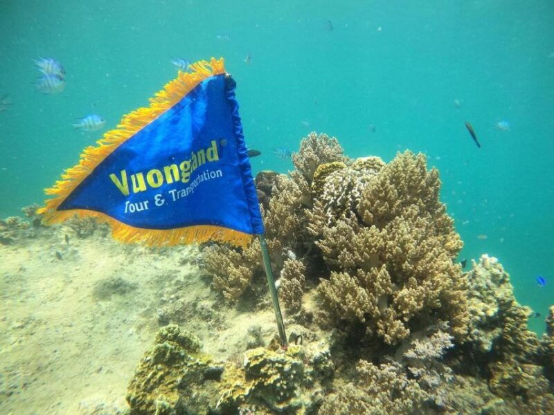 nha-trang-half-day-snorkeling-trip