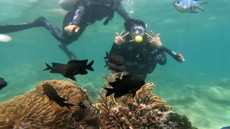 nha-trang-scuba-diving-experience-and-mun-island-snorkeling