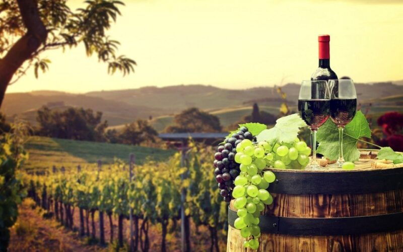 nice-provence-village-tour-with-wine-and-produce-tasting