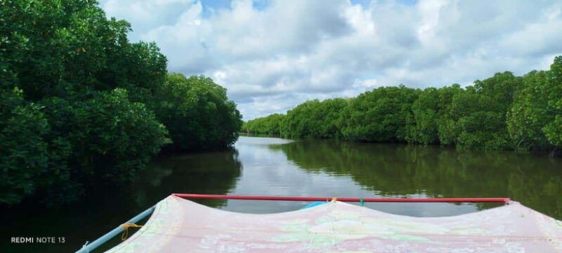 nilaveli-lagoon-boat-safari-with-mangrove-exploration