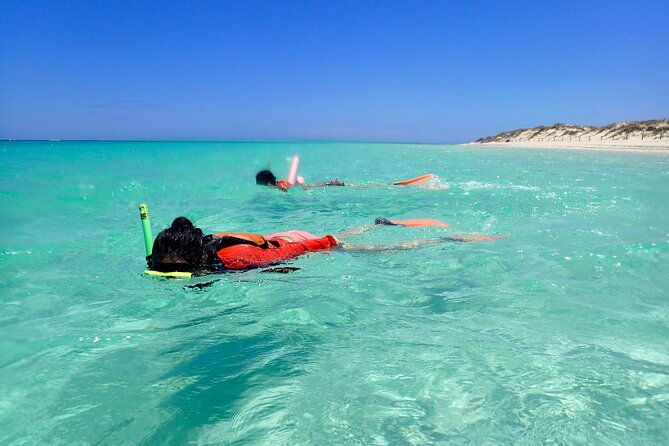 Ningaloo Reef Snorkel Adventure - The Sum Up