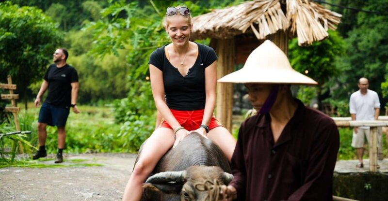ninh-binh-buffalo-riding-rice-planting-group-tour