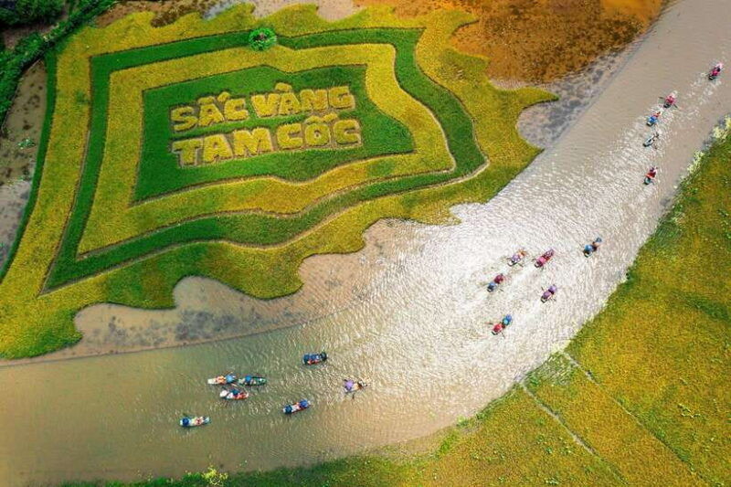 ninh-binh-day-trip-hoa-lu-trang-an-or-tam-coc