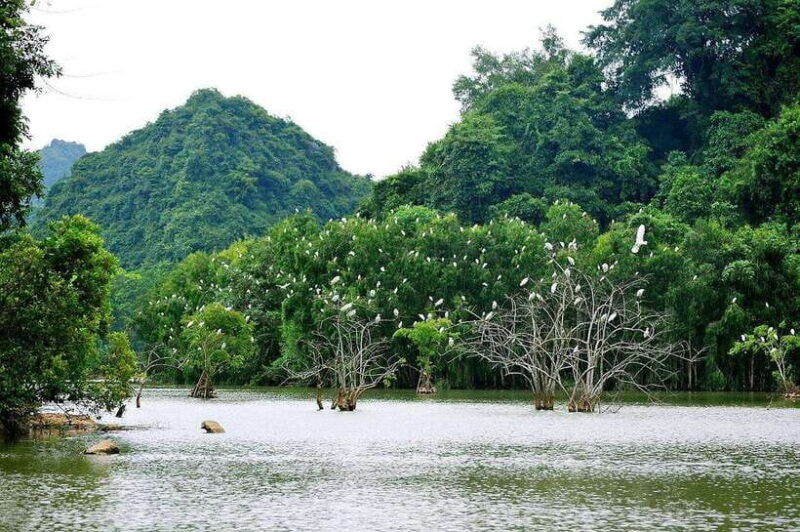 ninh-binh-jeep-tour-tam-coc-hightlights-hidden-gems