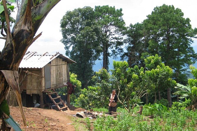 No.1 Chiang Mai: Advanced Downhill Mountain Biking, Suthep N.Park - Practical Details and Logistics