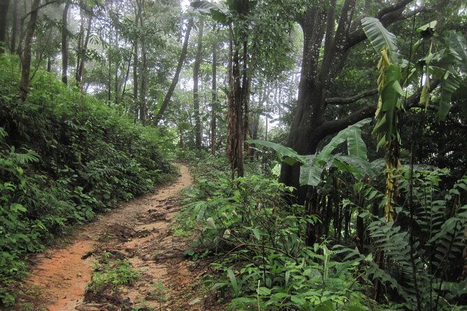 No.1 Chiang Mai: Advanced XC Downhill Biking, Doi Suthep N. Park - Final Thoughts: Who Should Book?