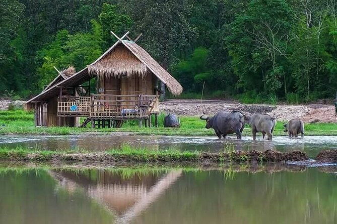 "No.1 Chiang Mai: Leisure Bicycle Ride to Lake Huay Tueng Tao" - Authentic Insights from Reviewers
