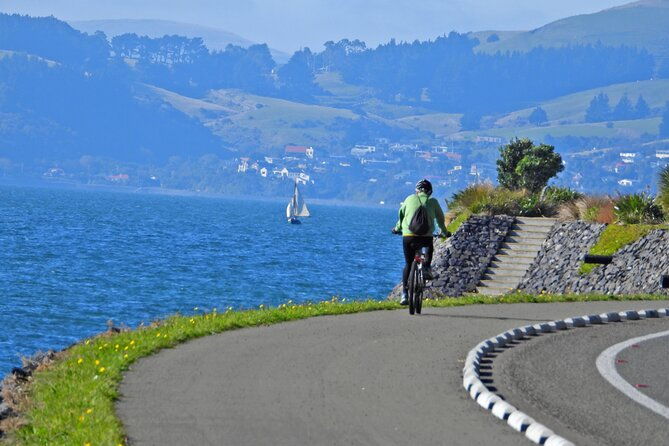 Non-Electric Bike Rental - The Ride: What to Expect