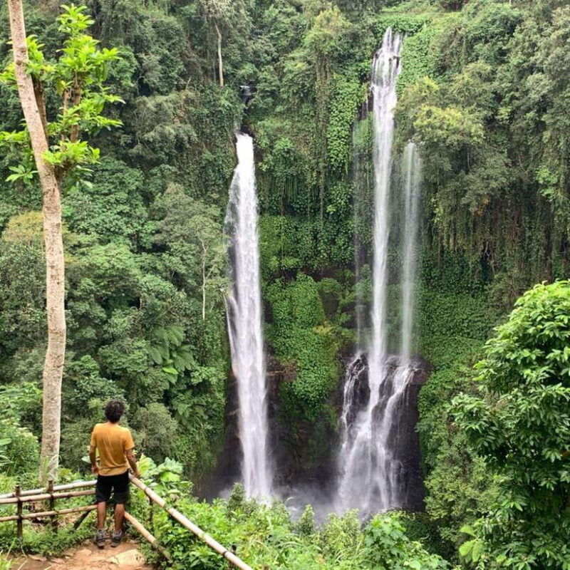 north-bali-sekumpul-and-banyumala-waterfalls-rice-terrace