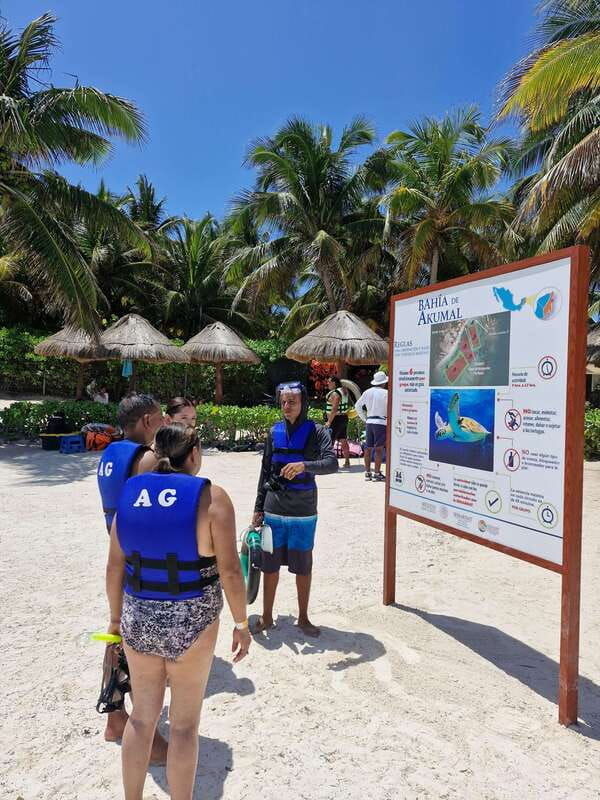 not-to-be-missed-tour-snorkeling-turtles-and-photos