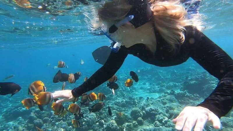 nusa-dua-tanjung-benoa-snorkeling-tour-with-pickup-options