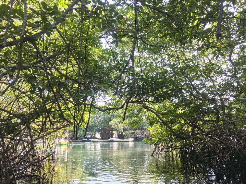 nusa-lembongan-mangrove-island-tour