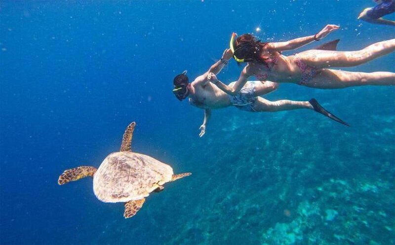 nusa-penida-afternoon-private-manta-safari-snorkeling