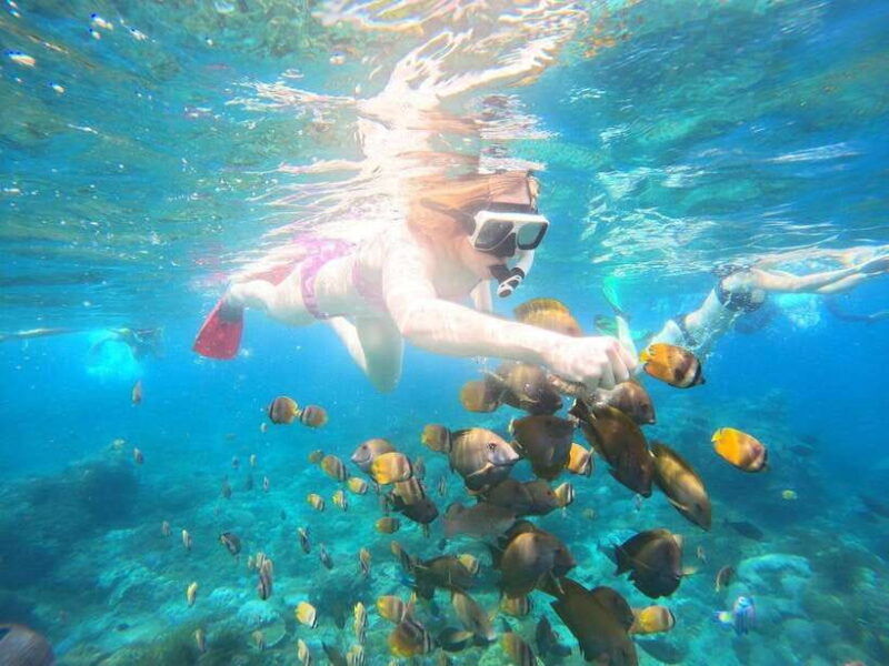 nusa-penida-full-day-private-snorkeling-with-manta-ray
