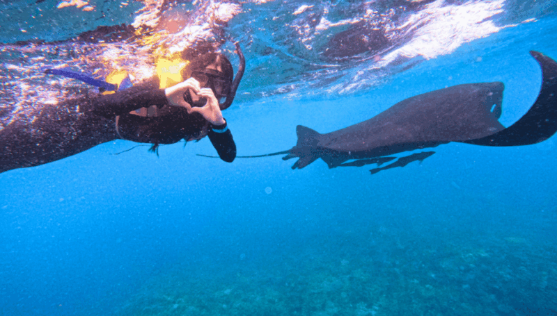 nusa-penida-nusa-lembongan-snorkeling-island-day-tour