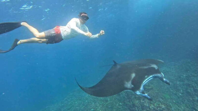 nusa-penida-private-snorkeling-with-manta-ray-and-west-tour