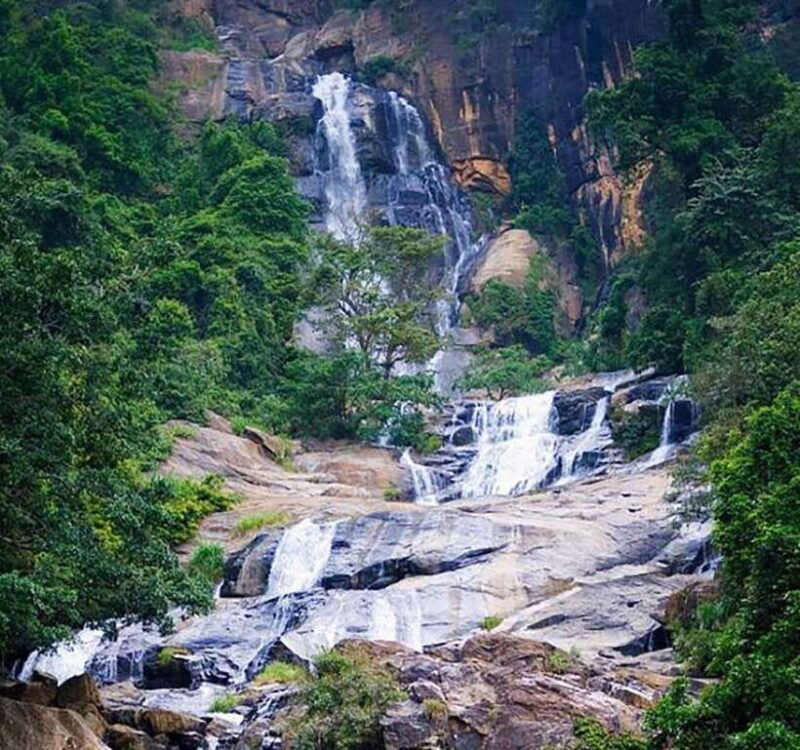 nuwara-eliya-8hours-5waterfalls-2tea-test-pick-temple