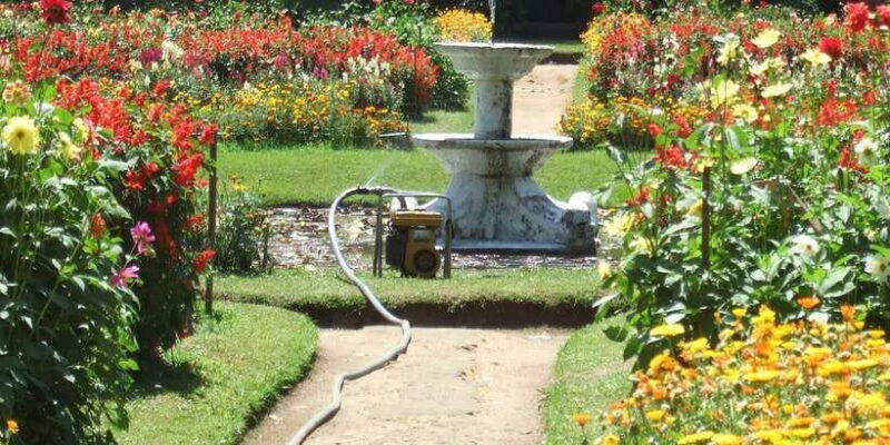 nuwara-eliya-all-inclusive-private-sightseeing-day-tour