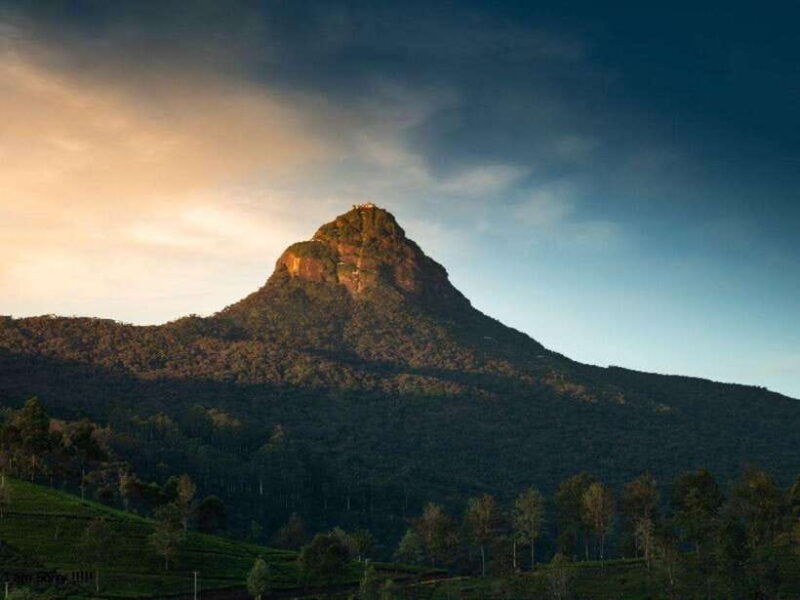 nuwara-eliya-to-summit-bliss-adams-peak-overnight-hike