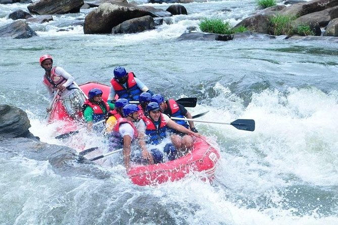 Nuwaraeliya Day Tour & Kithulgala Water Rafting from Kandy,Colombo or Ella - Who Will Love This Tour?