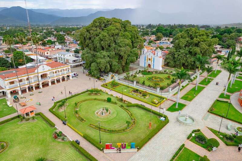 oaxaca-the-tule-tree-teotitlan-village-mezcal-tour