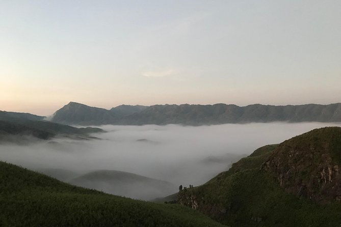 Oddessemania to dzukou valley - Authentic Experiences and Local Wildlife