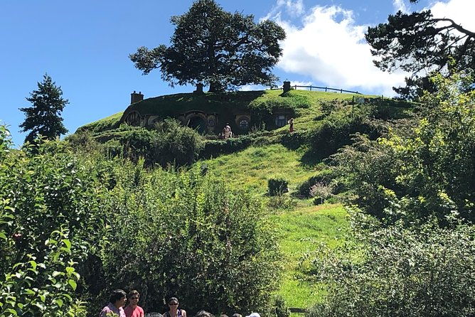 One day Hobbiton Movie set visit from Auckland - Practical Details and Tips