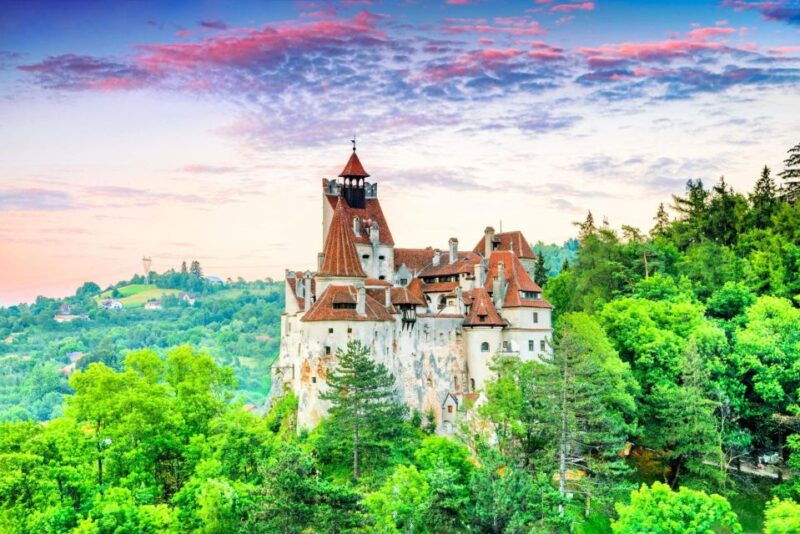 one-day-trip-bear-sanctuary-dracula-castle