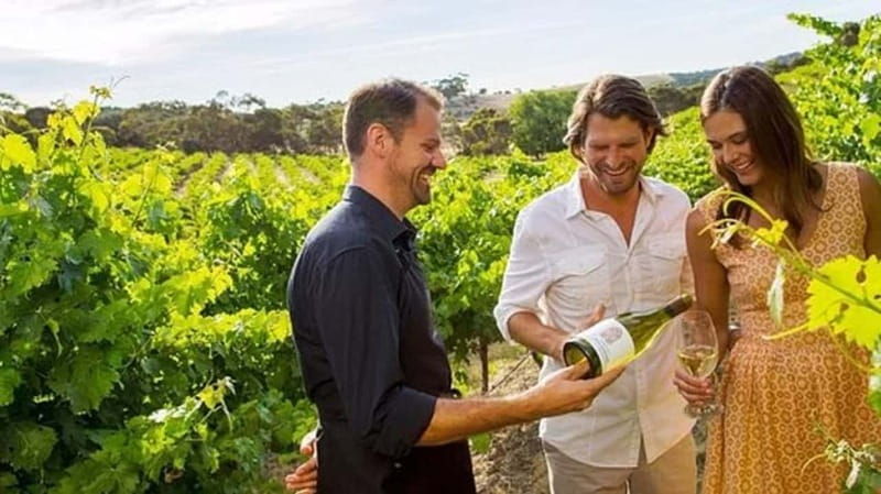 ontario-afternoon-wine-tour-and-cheese-pairing