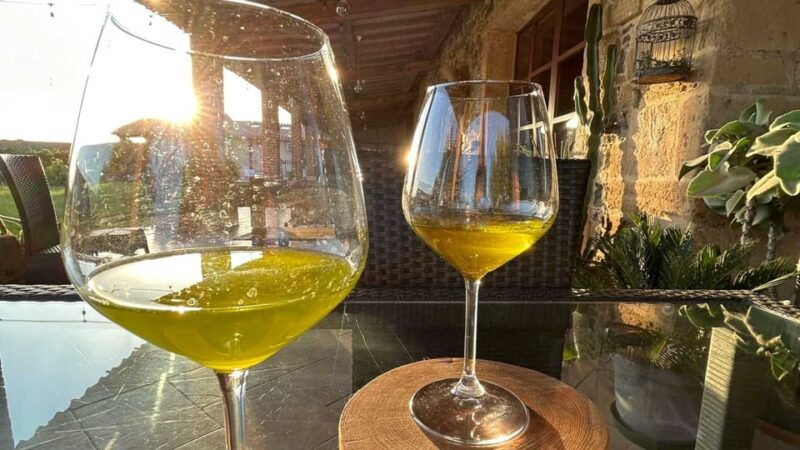 oristano-visit-a-farm-with-oil-tasting