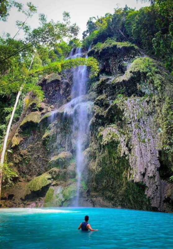oslob-whale-sharks-tumalog-falls-monkey-sanctuary-tour