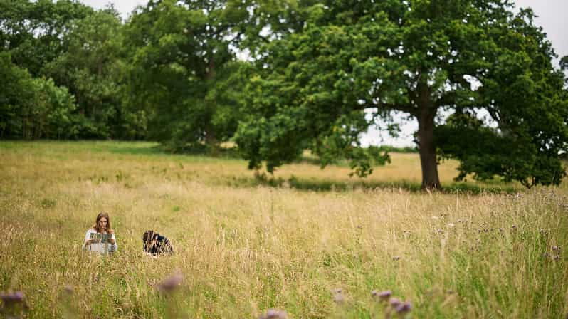 oxford-harcourt-arboretum-entry-ticket