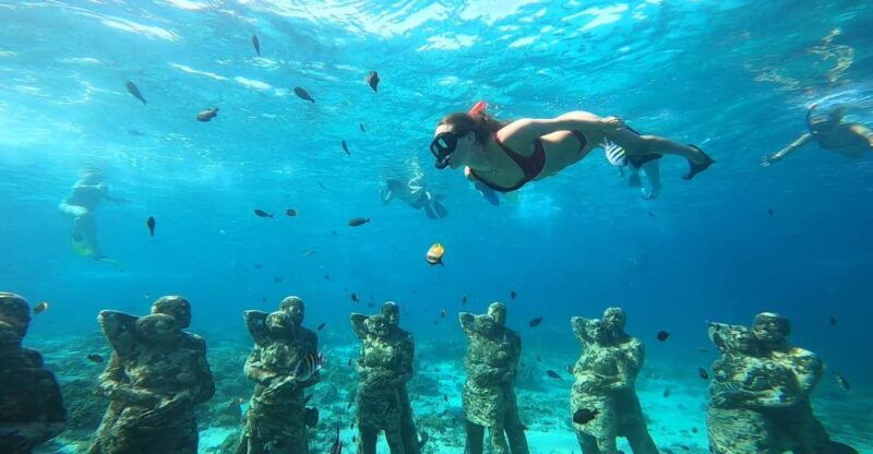 ozzy-snorkeling-3-islands-visit-baby-turtles