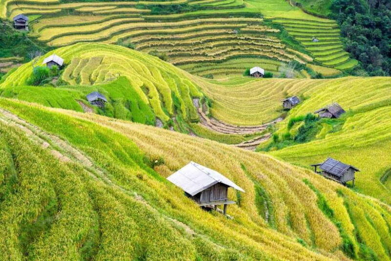 package-ninh-binh-sapa-ha-giang-loop-easy-rider-8d7n