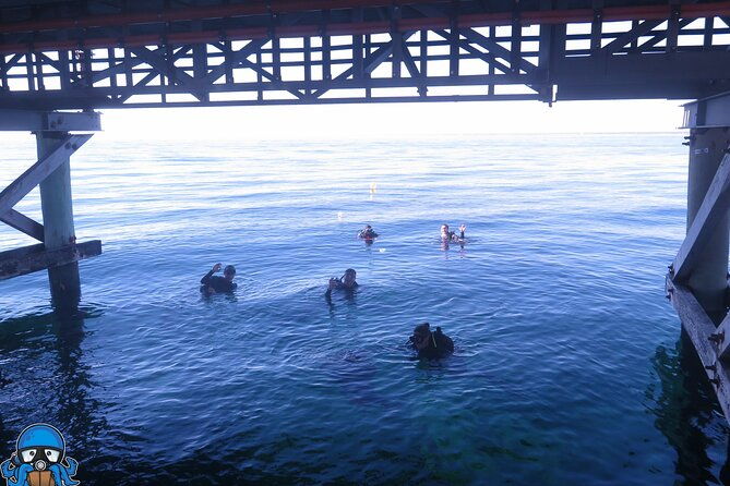 PADI Open Water Course - What’s Included and What’s Not?