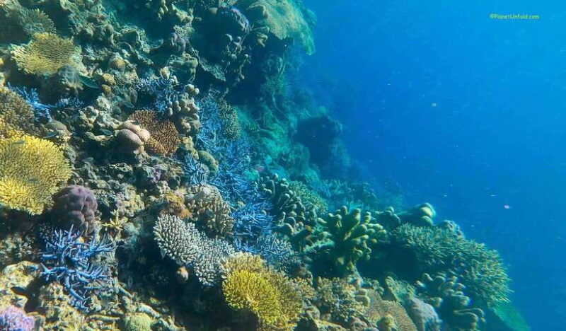palawan-coron-island-super-ultimate-private-tour