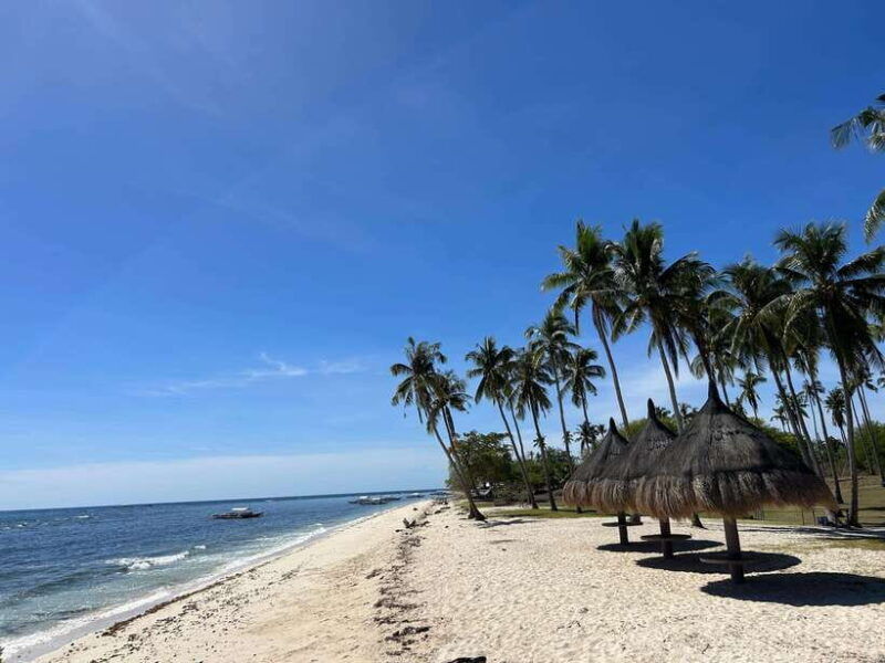 pamilacan-island-dolphins-snorkel-lunch-and-walking-tour