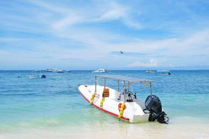 panglao-solo-or-tandem-parasailing-experience-near-alona