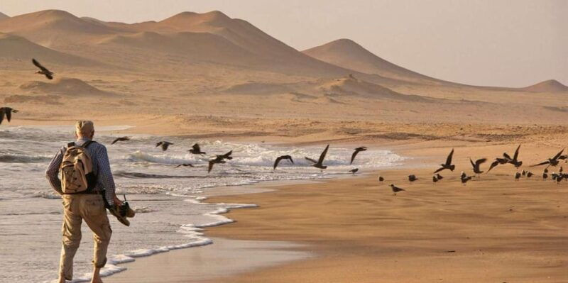 paracas-ballestas-islands-paracas-reserve-full-day