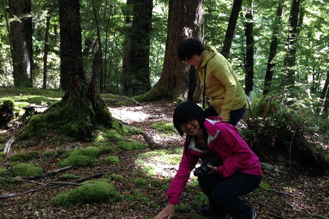 Paradise Day Walks - Frequently Asked Questions