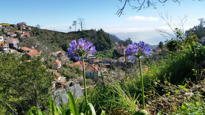 paradise-valley-half-day-morning-walk