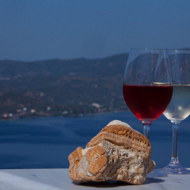 paros-wine-tour-and-tasting