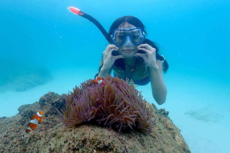 pattaya-private-speedboat-to-nemo-island-with-snorkel-bbq