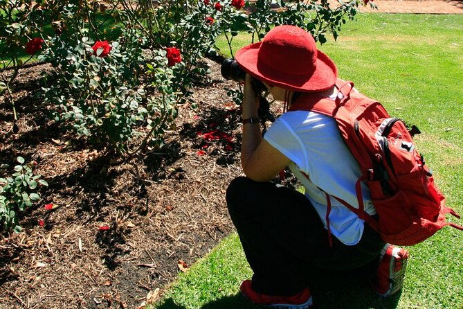 Perth City, Laneways and Hidden Gems Photographic Walk - The Value of This Photographic Walk
