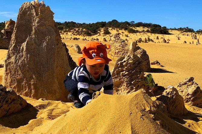 Perth Kids Explorer Private Day Tours - Who Will Love This Tour?